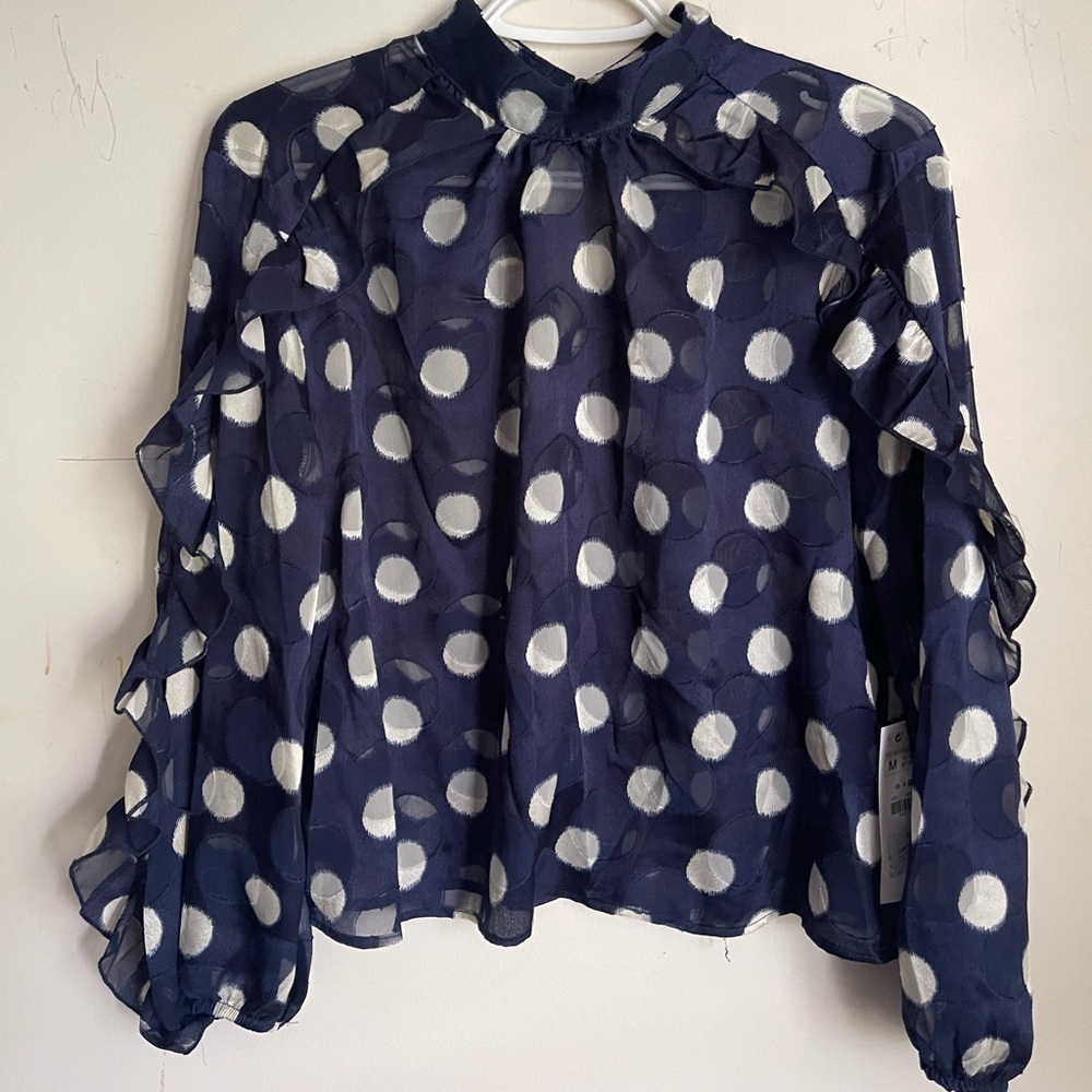 Zara Navy Blue Polka Dot Sheer Blouse with White Dots